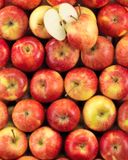 la-pomme-juliette-bio