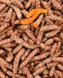 le-curcuma-frais-1
