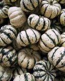 la-courge-patidou-bio