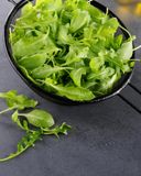 la-roquette-1