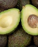 l-avocat-gros-calibre