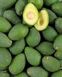 l-avocat-petit-calibre