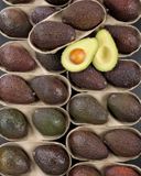 les-2-avocats-selection-murs-a-point