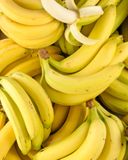 la-main-de-bananes-des-antilles