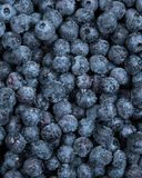 la-myrtille-en-barquette