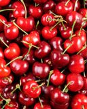 la-cerise-en-barquette-3