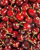 la-cerise-3