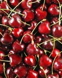 la-cerise-hve