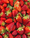 la-fraise-3
