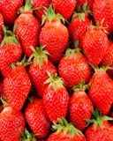 la-fraise-gariguette-selection-disposee-a-la-main