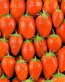 la-fraise-ciflorette-3