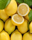 le-citron-feuille-non-traite-apres-recolte