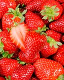 la-fraise-francaise-1