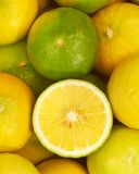 la-bergamote
