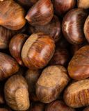 le-marron-1