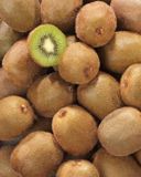 le-kiwi-vert-4