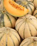 le-melon-charentais-vert-1