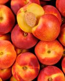 la-nectarine-jaune-5