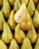 la-poire-conference-3