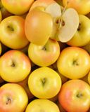 la-pomme-rubis-gold-hve-2