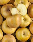 la-pomme-canada-grise