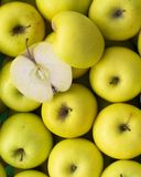 la-pomme-golden-hve