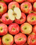 la-pomme-pink-lady-hve