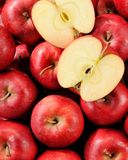 la-pomme-magic-star-hve