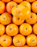la-prune-jaune-hve