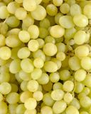 le-raisin-blanc-sans-pepin