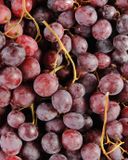 le-raisin-red-globe