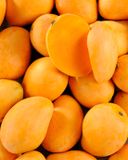 la-mangue-exotique