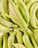 la-banane-plantain-verte