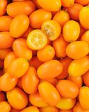 le-kumquat-1