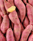 la-patate-douce-a-chair-blanche