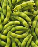 l-edamame