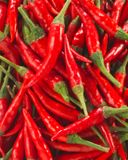 le-mini-piment-rouge-thai