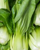le-shanghai-pak-choi