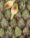 le-petit-artichaut-violet