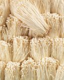 l-enoki