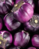 l-aubergine-violette-ronde