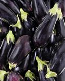 l-aubergine-noire-en-filet