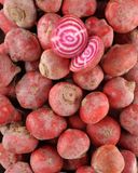 la-betterave-chioggia
