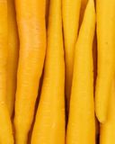 la-carotte-jaune