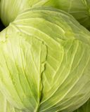 le-champignon-geant-400g