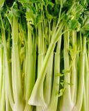 le-celeri-vert-avec-feuilles