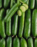 le-petit-concombre-selection