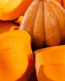 la-courge-coupee