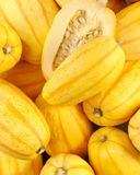 la-courge-spaghetti-1