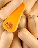 la-courge-butternut